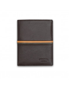 Billetero Simple Rayas a Color 2