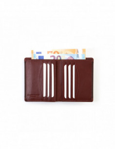 Billetera Básica Lago - Marrón 2